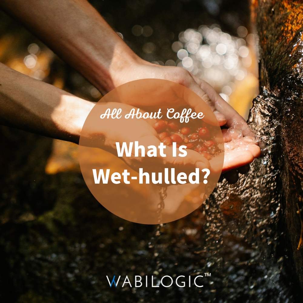 Coffee Processing Methods: Wet-hulled