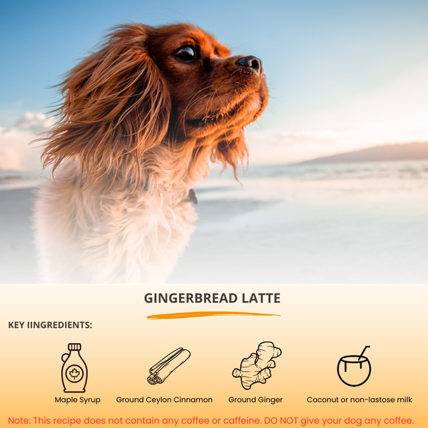 BARKRISTA Recipes: Gingerbread Latte - Wabilogic