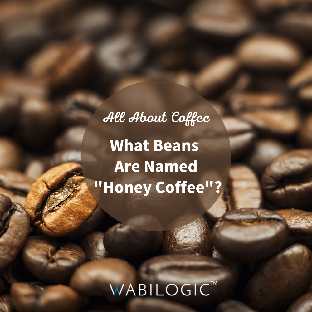 honey coffee precessing methods coffee bean pour over wabi new wabi knowledge
