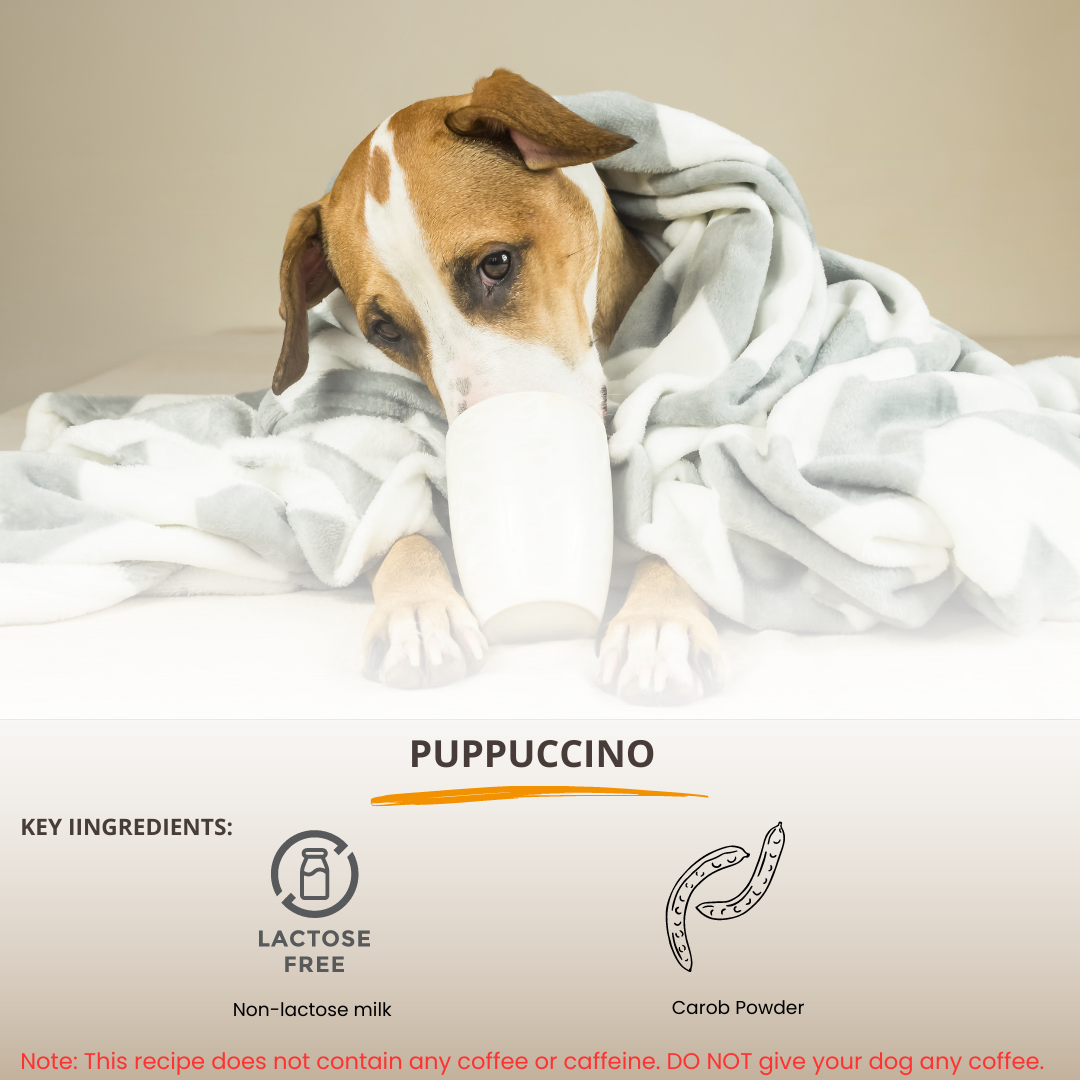 BARKRISTA: Puppuccino