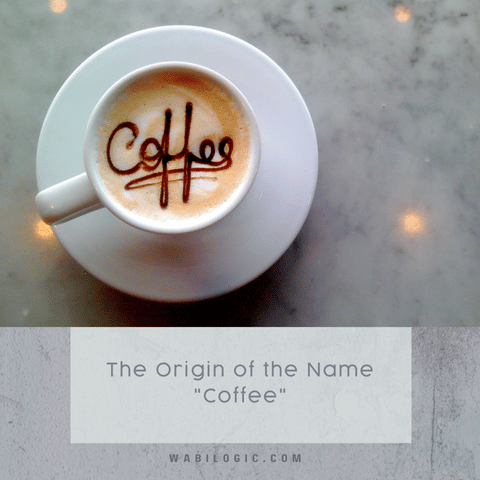 The Origin of the Name "Coffee" | Wabilogic