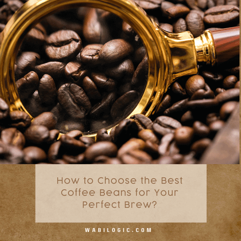 How to Choose the Best Coffee Beans for Your Perfect Brew?