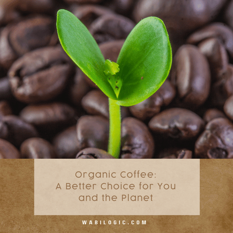 Organic Coffee: A Better Choice for You and the Planet