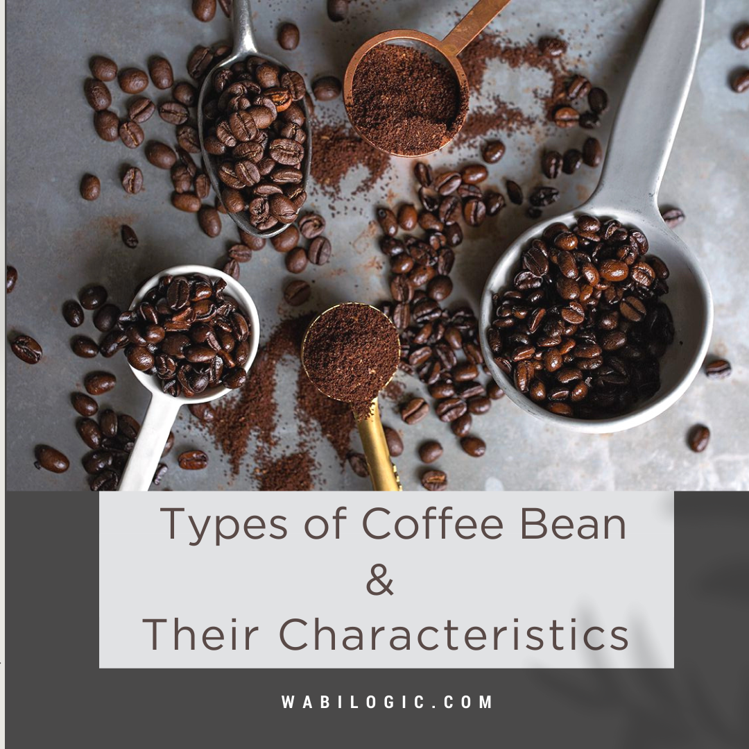 Types of Coffee Bean & Their Characteristics