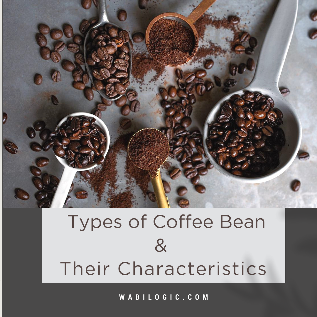 Exploring Coffee: Types, Flavors & Aromas | Wabilogic