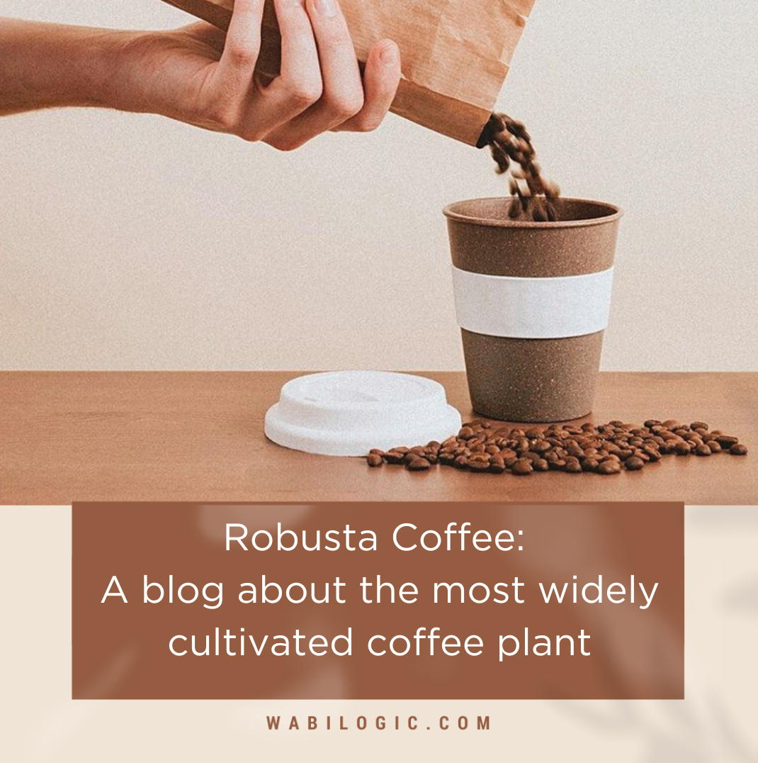 Robusta Coffee: A blog about the most widely cultivated coffee plant